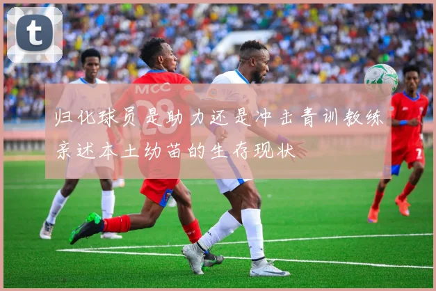 归化球员是助力还是冲击青训教练亲述本土幼苗的生存现状