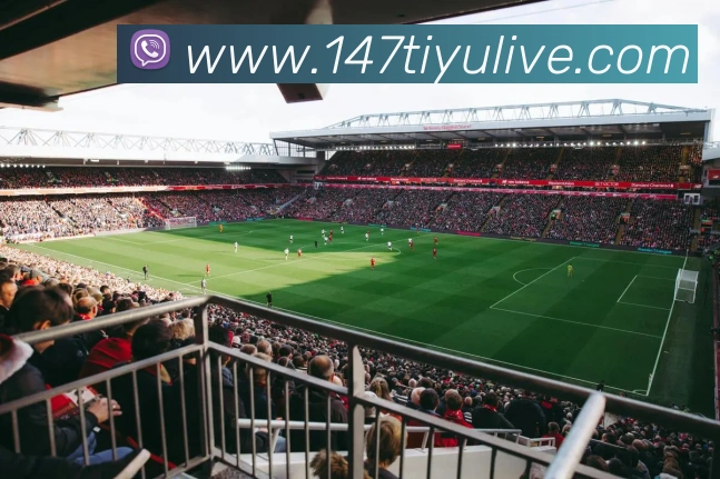 147体育直播APP 体育赛事宣传图